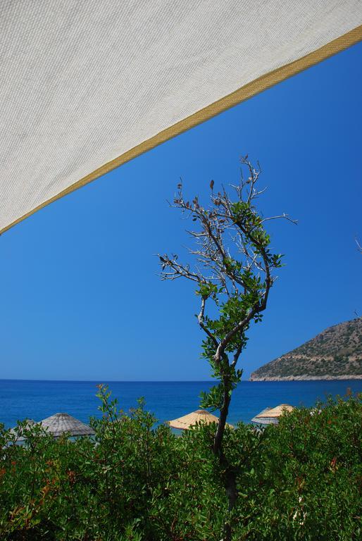 Hoppala Pension Datça Kültér fotó